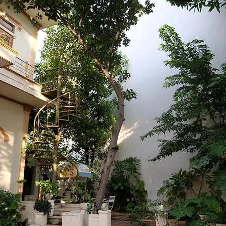 Отель Moon House Tropical Garden - Valentine